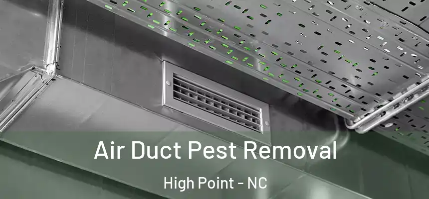 Air Duct Pest Removal High Point - NC