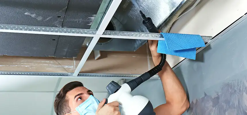 Our Air Duct Rodent Removal Services in High Point, NC