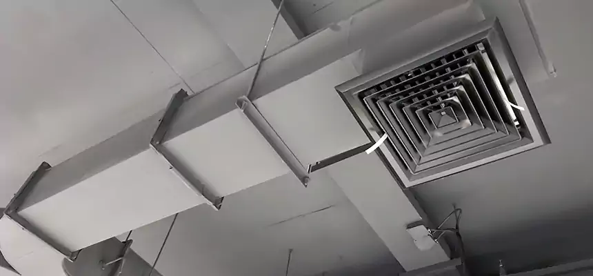 Restorative Allergy Relief Vent Cleaning – Coil, Blower & Housing Detail in High Point