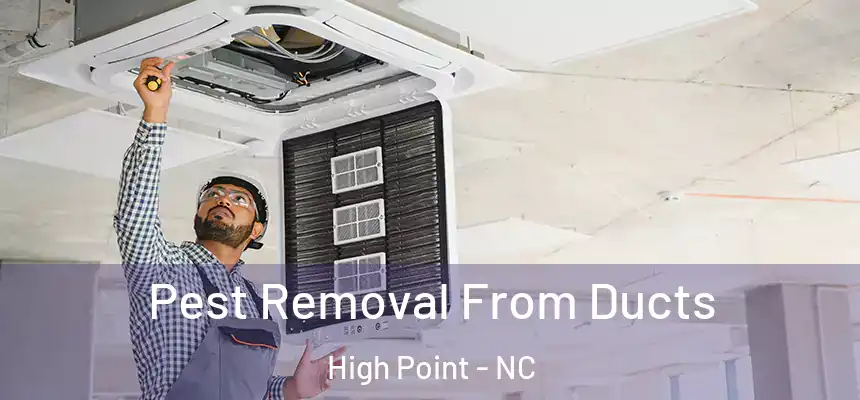  Pest Removal From Ducts High Point - NC
