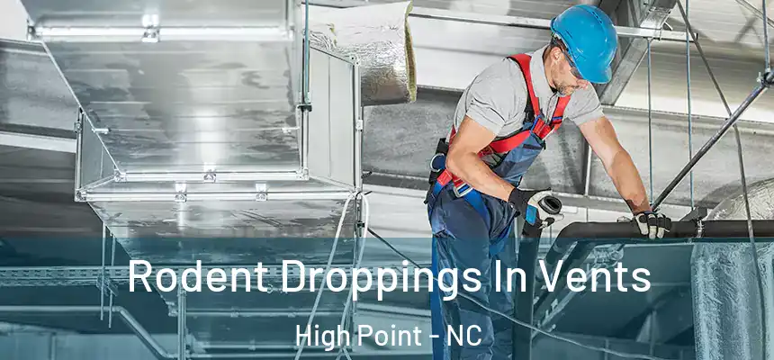  Rodent Droppings In Vents High Point - NC