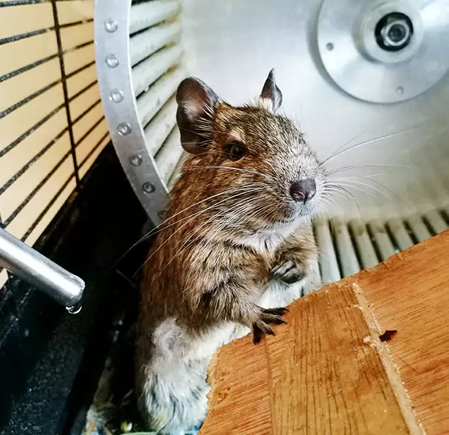 Why Homeowners & Businesses Trust Us High Point, NC?